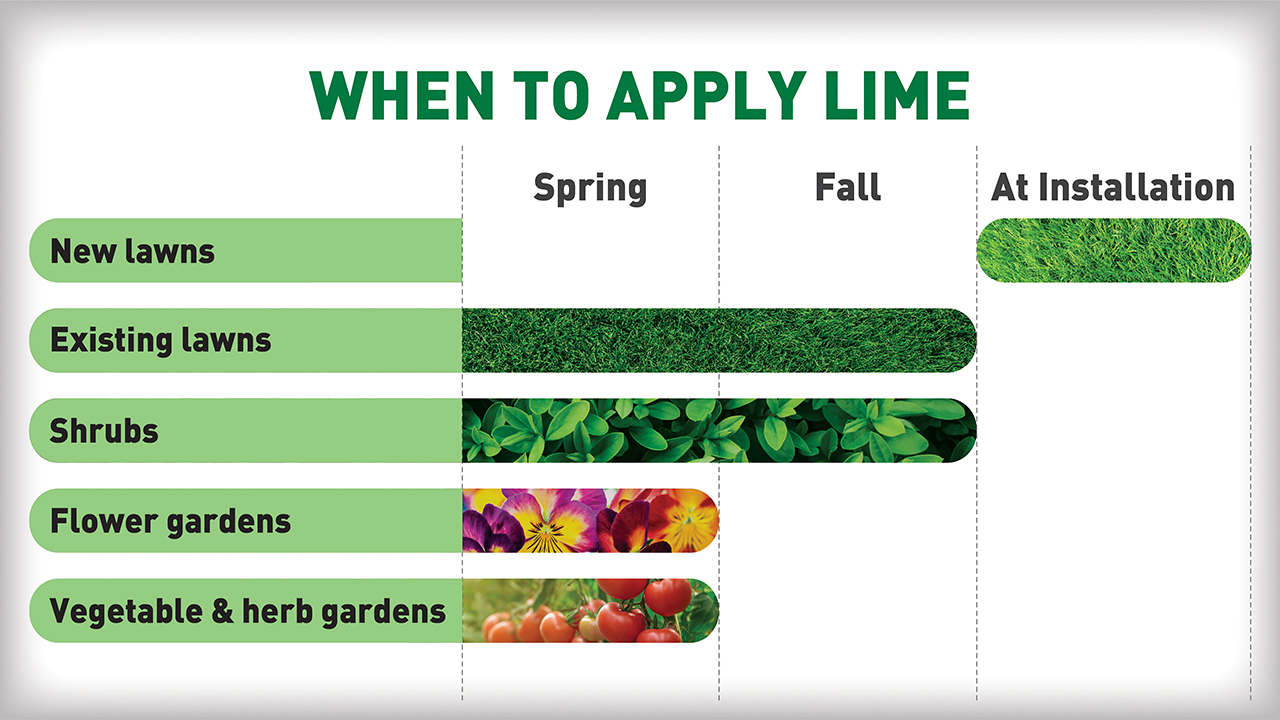 When-to-apply-lime jpg