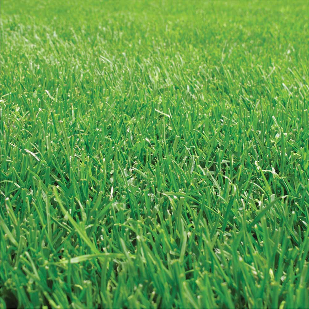 green-grass jpg