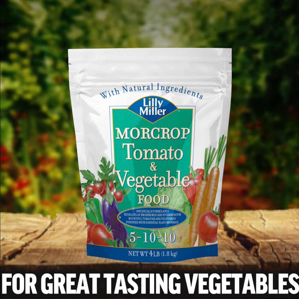 Lilly Morcrop Tomato and Vegetable Food