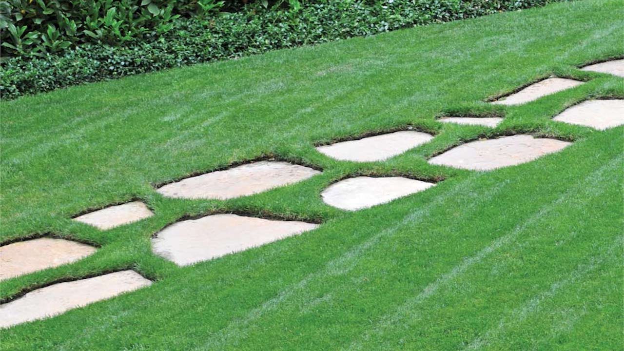 Ironite for lawns new arrivals