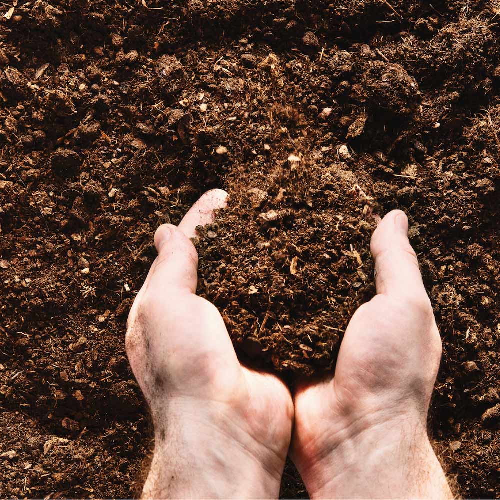 soil-test jpg