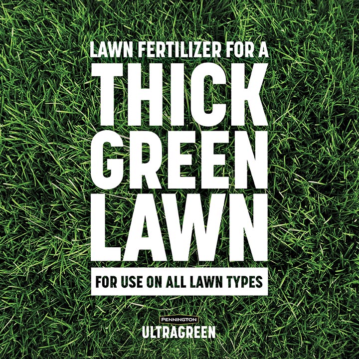 UltraGreen-Lawn-Fertilizer-30-0-4-2