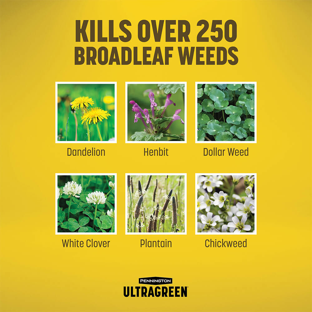 UltraGreen-Weed-and-Feed-Fert-8