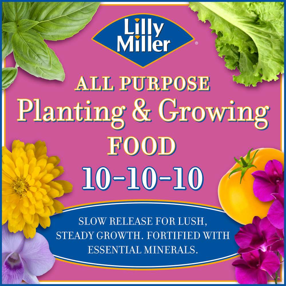 lilly miller all purpose