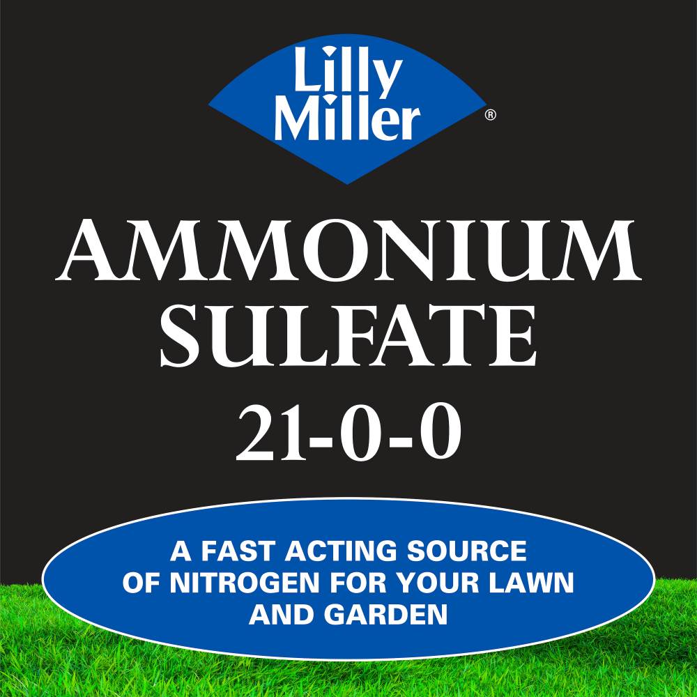 lilly miller ammonium sulfate