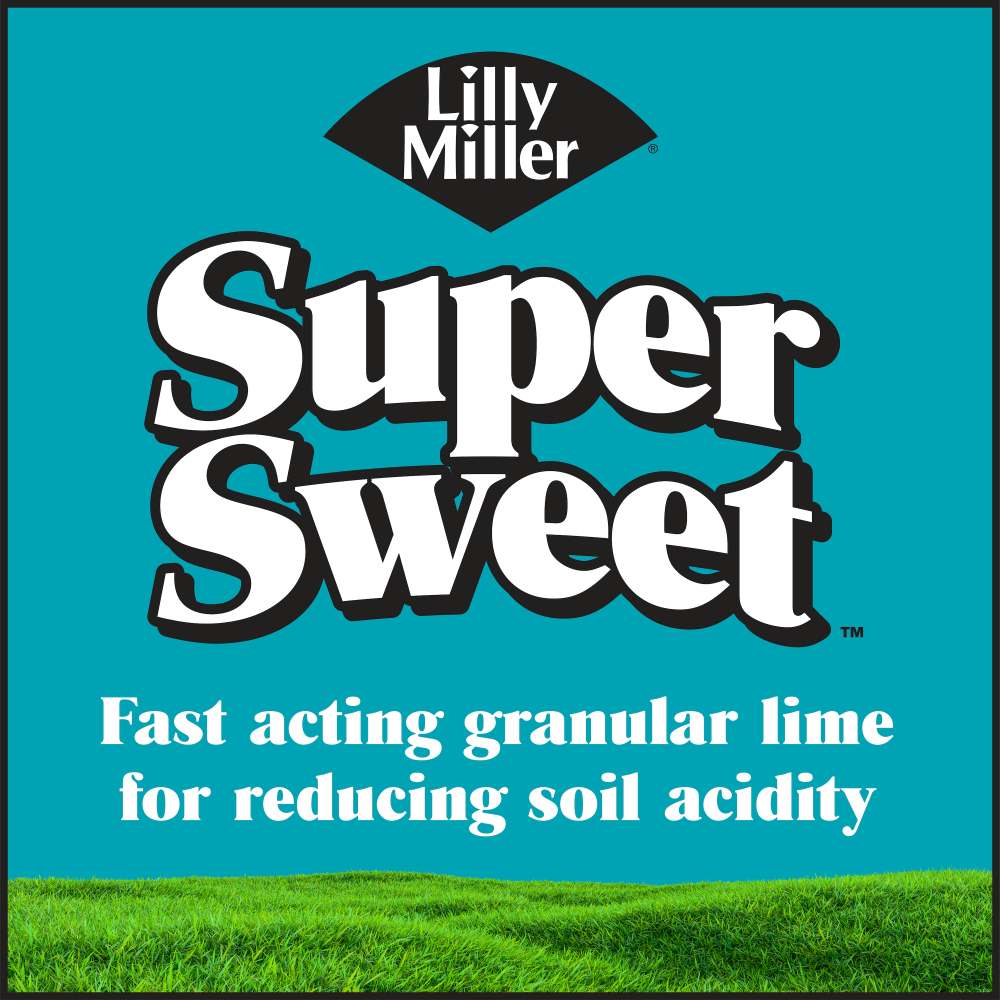 lilly miller super sweet lime
