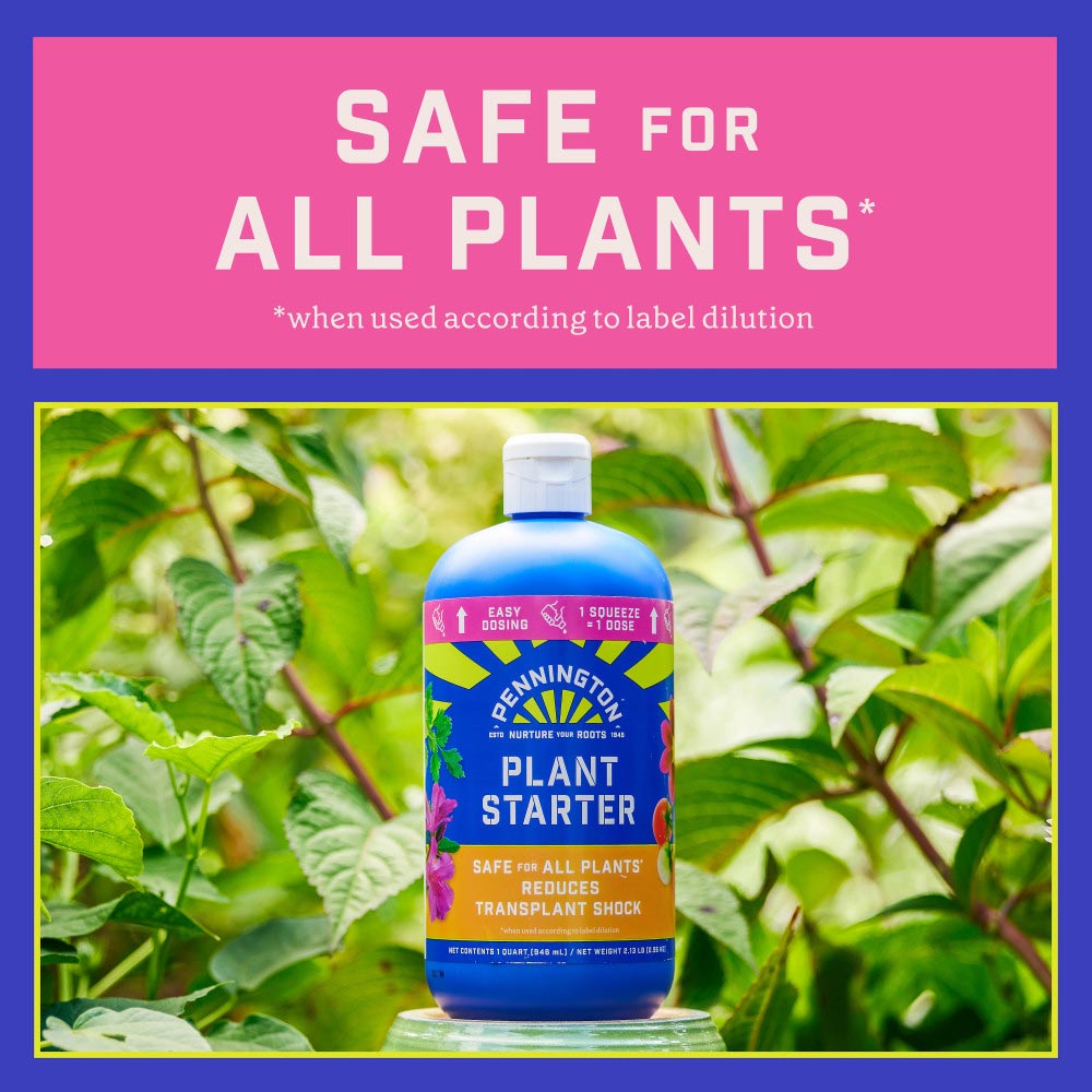 pennington-plant-starter-4