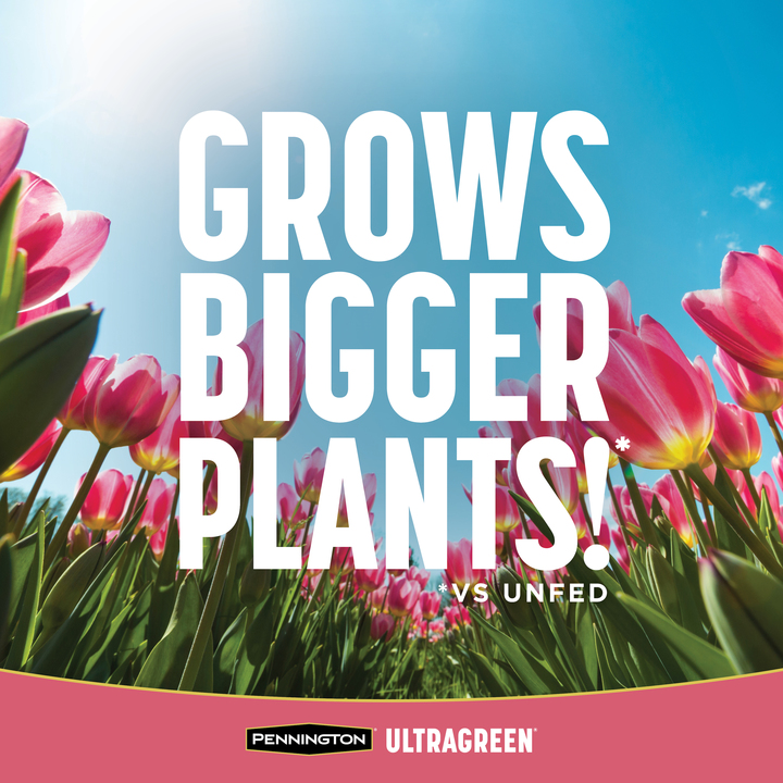 UltraGreen-Color-Blooms-and-Bulbs-Plant-Fert-15-10-10-2