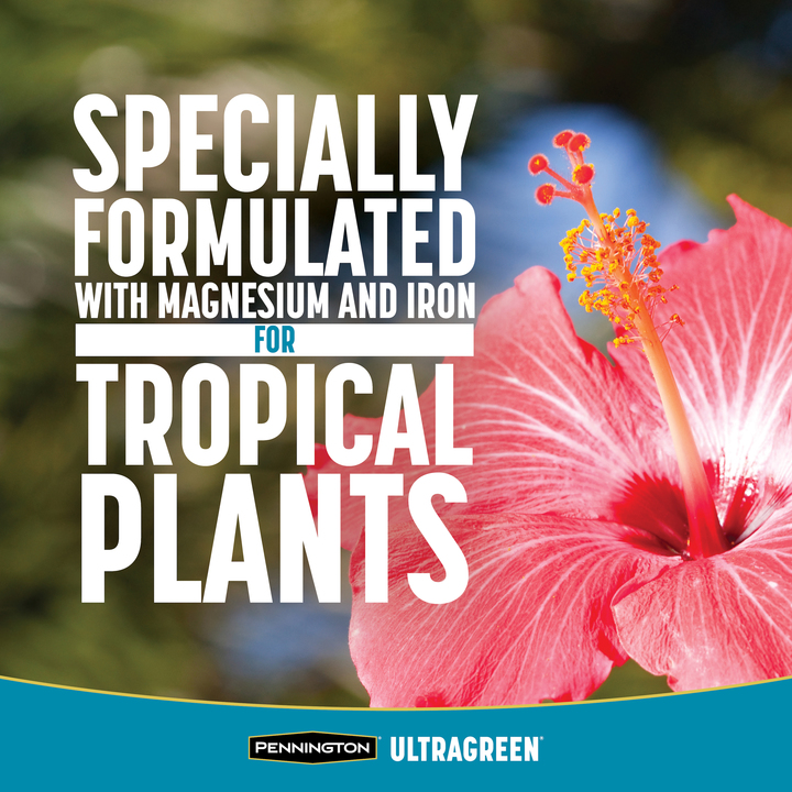 UltraGreen-Palm-Tree-and-Hibiscus-Plant-Fert-9-4-5-2