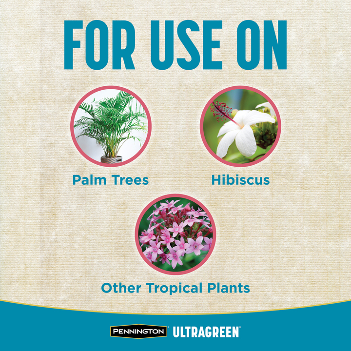 UltraGreen-Palm-Tree-and-Hibiscus-Plant-Fert-9-4-5-3