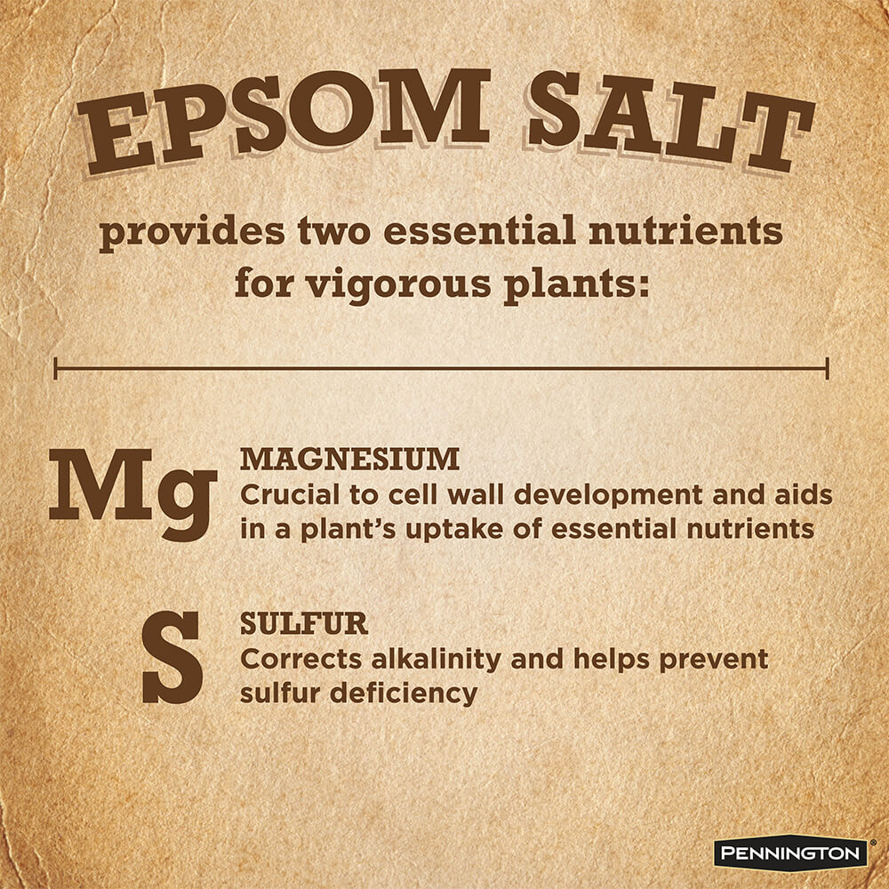 PE-Epsom-Salt_4