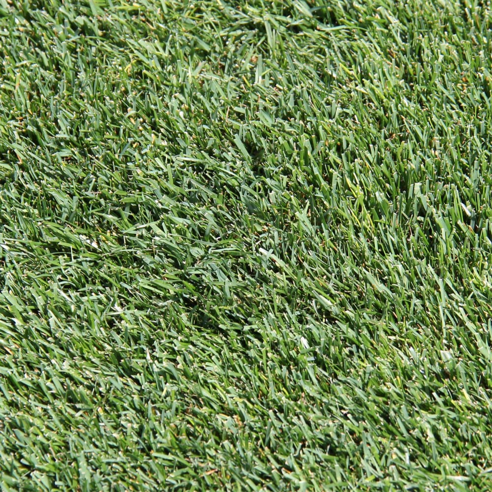002149602062-av6