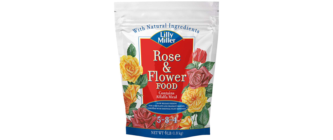 lilly-miller-rose-and-flower-5-8-4-og