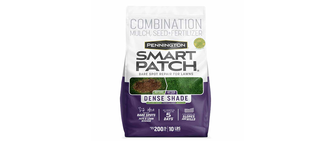 Amazon.com: Pennington Smart Patch Tall Fescue Mix Jug 5 lb