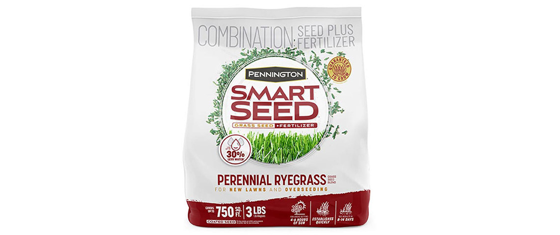 Pennington Smart Seed Perennial Ryegrass Sun or Shade Grass Seed and Fertilizer 3 lb