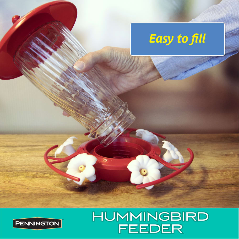 021496013480-pennington-decorative-hummingbird-feeder-32-oz-informational-images3