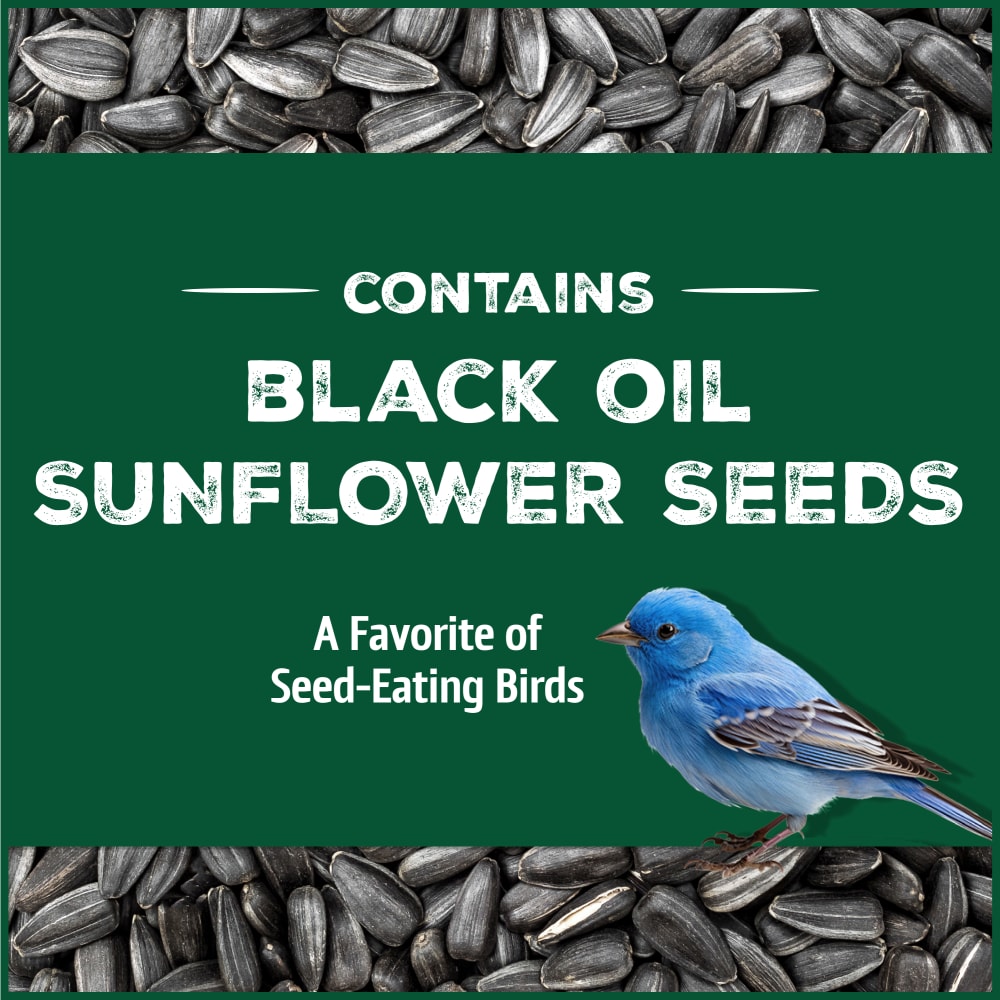 pennington-515624-classic-black-oil-sunflower-seed-bird-food-alt1