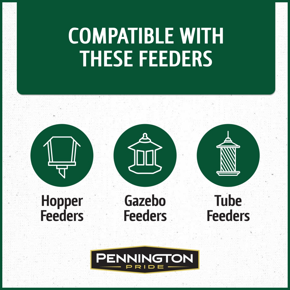 pennington-515624-classic-black-oil-sunflower-seed-bird-food-alt4