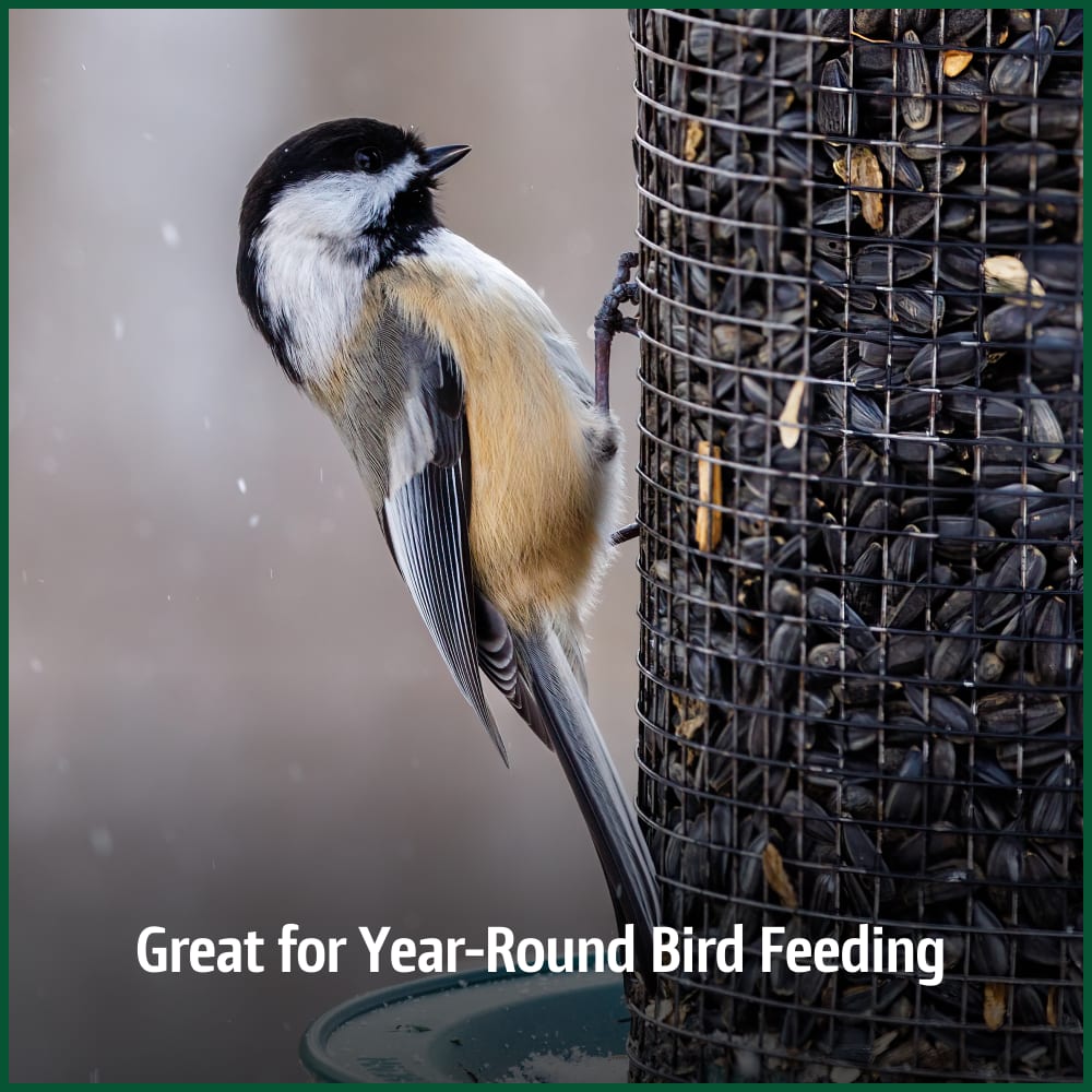 pennington-515624-classic-black-oil-sunflower-seed-bird-food-alt5