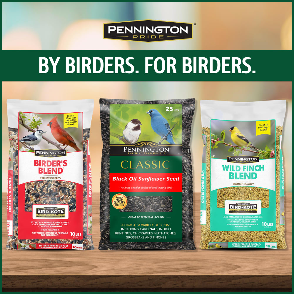 pennington-515624-classic-black-oil-sunflower-seed-bird-food-alt7
