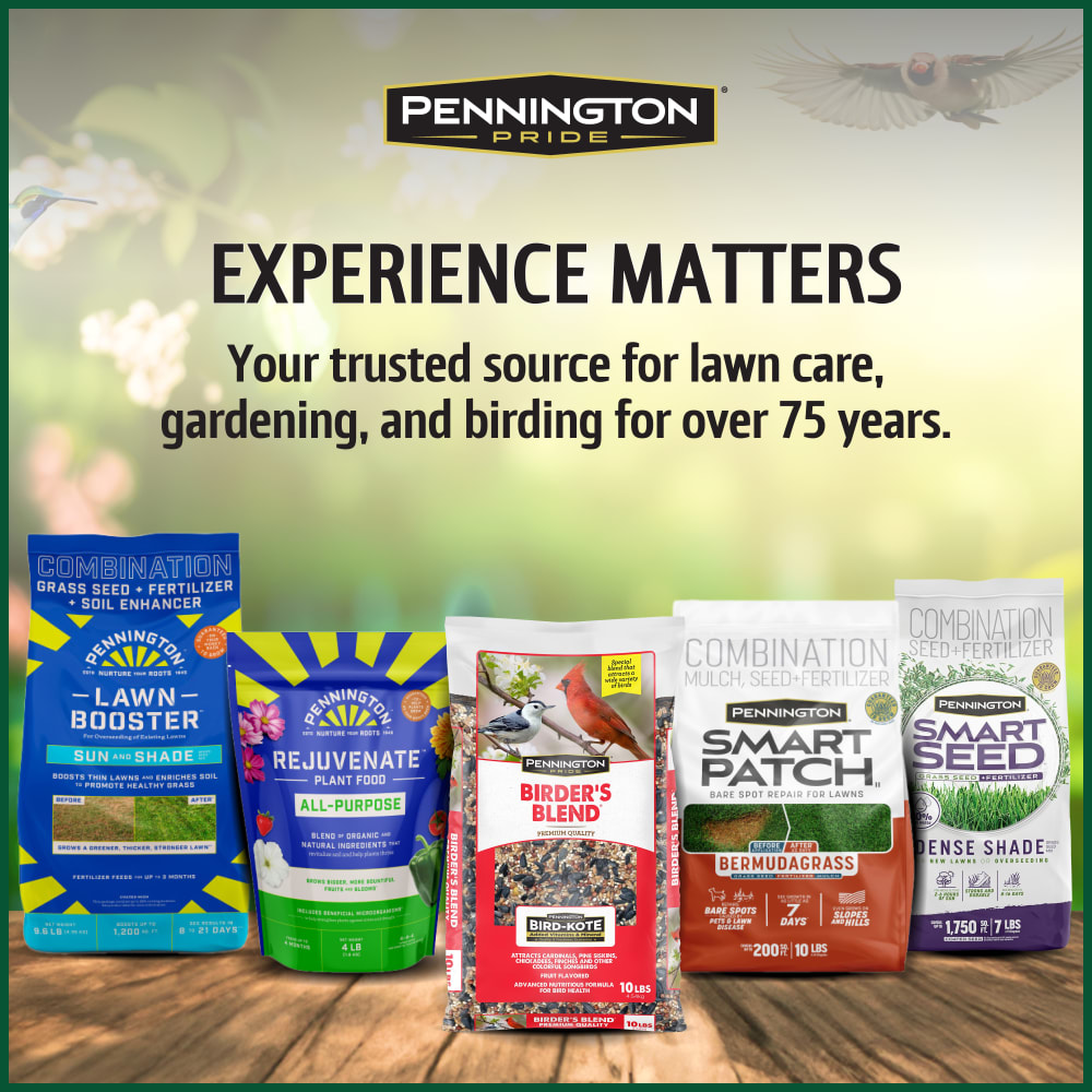 pennington-515624-classic-black-oil-sunflower-seed-bird-food-alt8