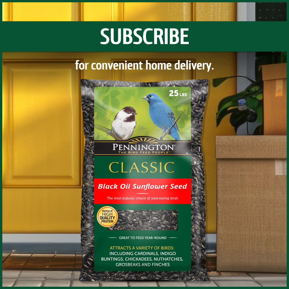 pennington-515624-classic-black-oil-sunflower-seed-bird-food-alt9