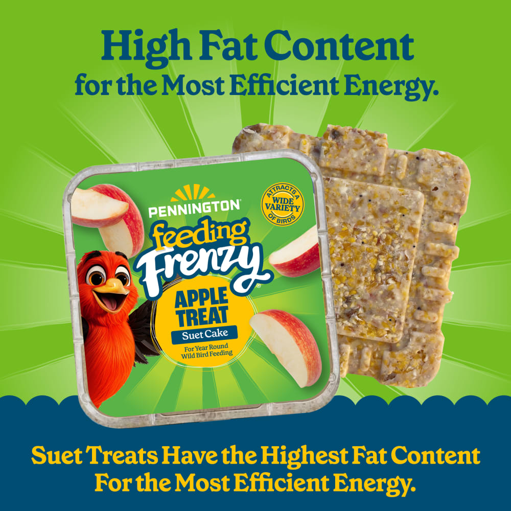 Pennington Feeding Frenzy Apple Treat Suet Cake