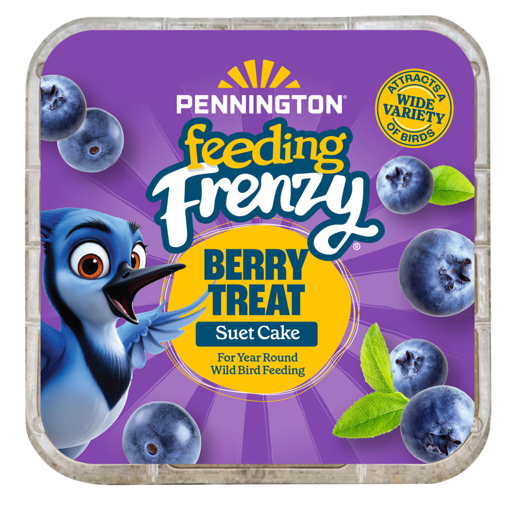 Pennington Feeding Frenzy Berry Treat Suet Cake