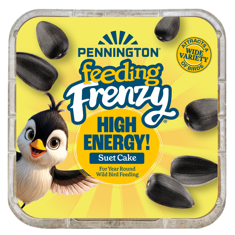 CHEEKY DEAR Oliver パイロット風チーキー 約27cm Pennington Feeding Frenzy High Energy! Suet Cake