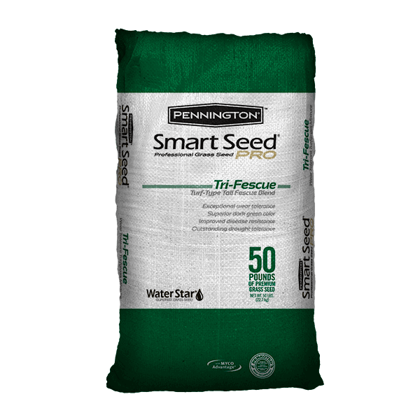 Pennington Smart Seed Pro Tri Fescue