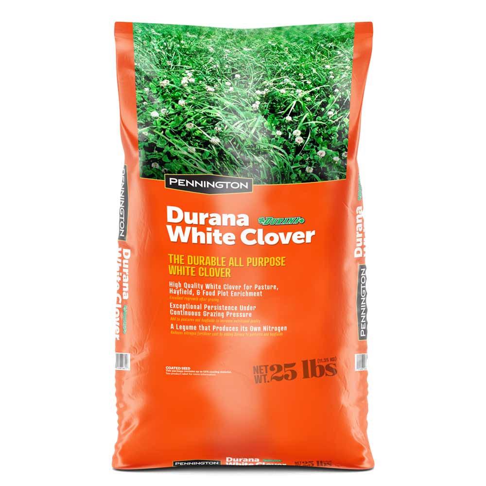 Durana-White-Clover