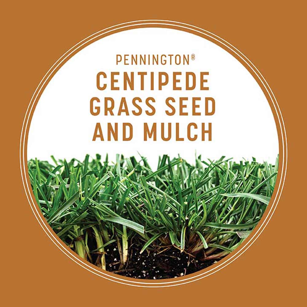 centipede-grass-seed-and-mulch