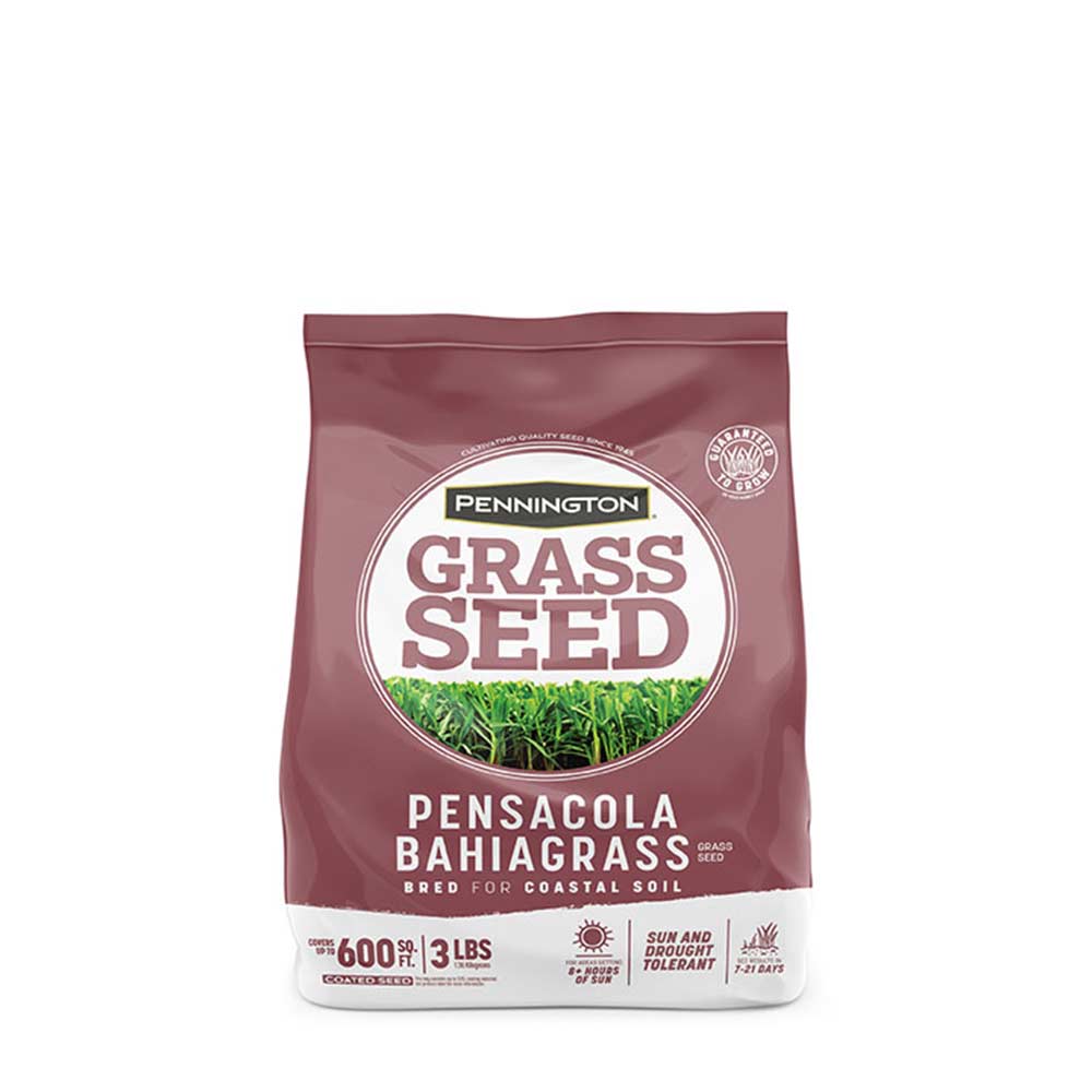 Pensacola-Bahiagrass-Grass-Seed-1-3lb