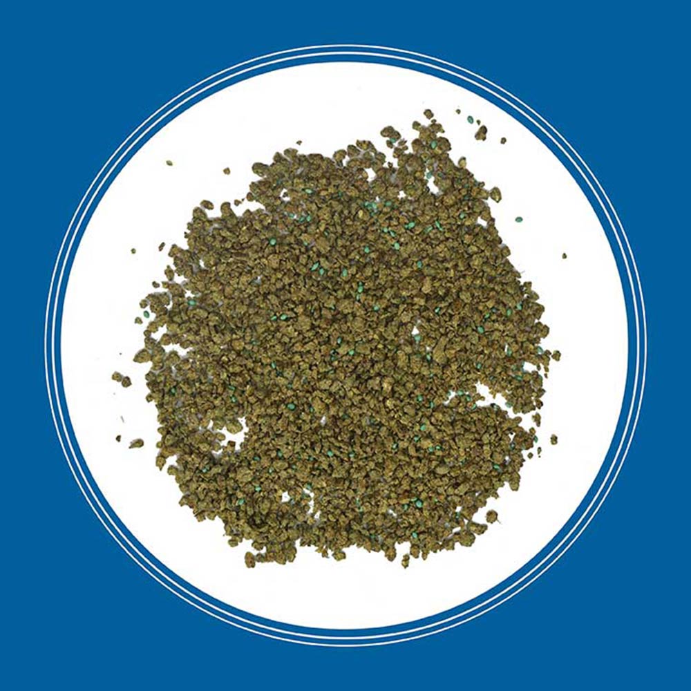 TifBlair Centipede Grass Seed Pennington