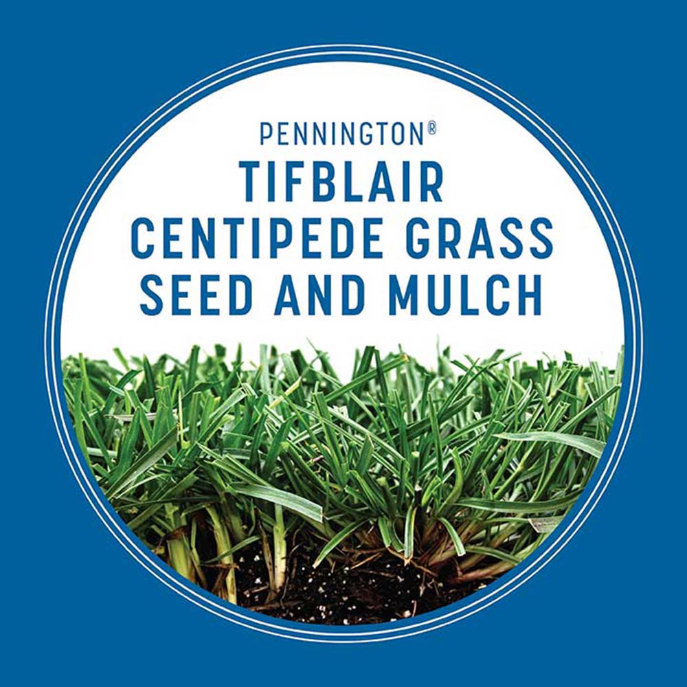 4000 Sq Centipede Grass Seeds Tifblair Certified 1 LB Coverage Ft 