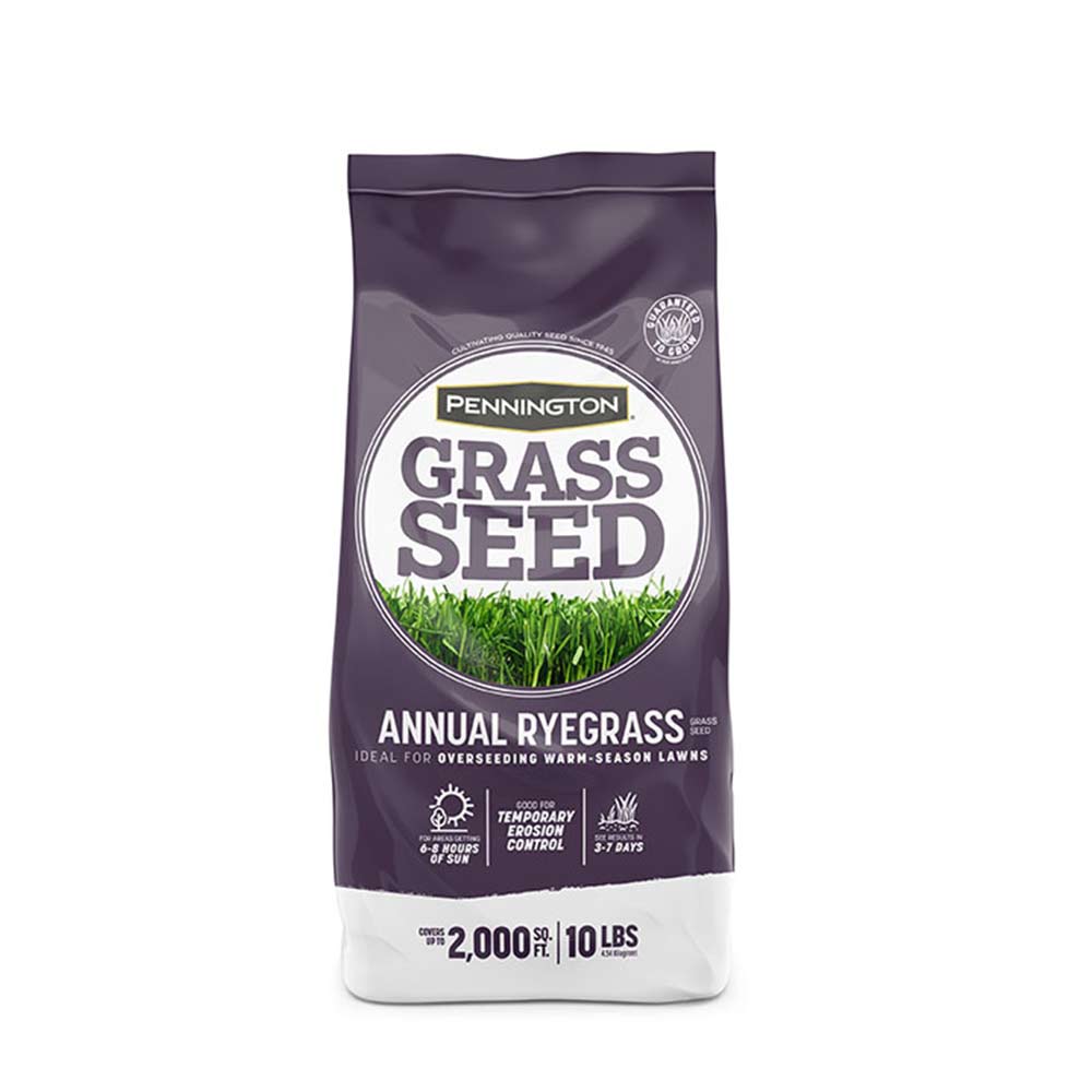 annual-ryegrass-10lb-bag