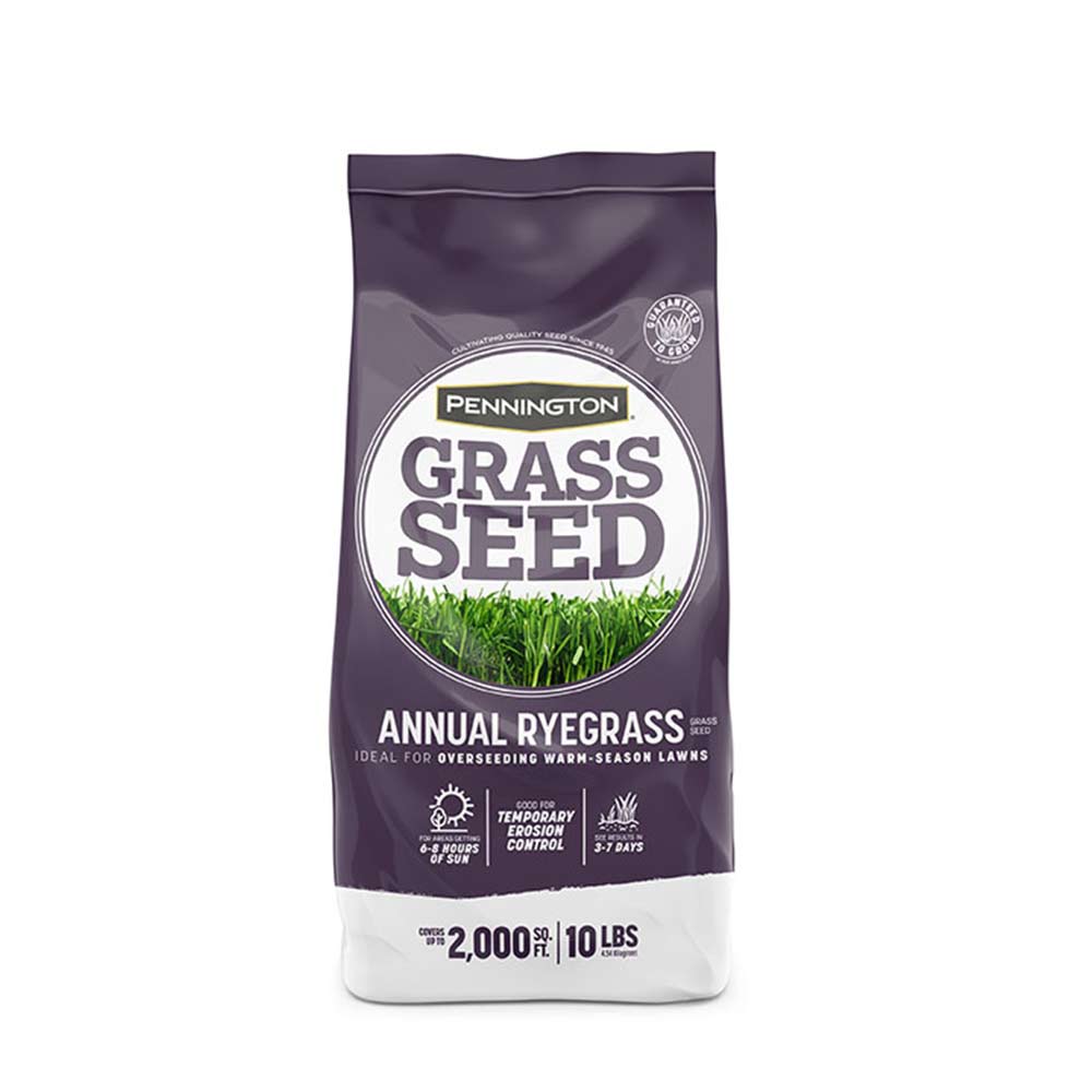 Annual-Ryegrass-1-10lb