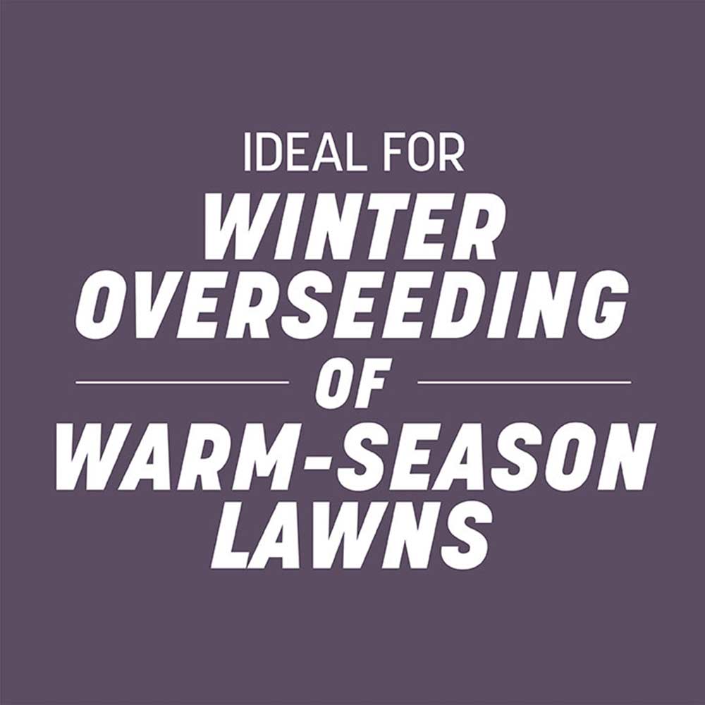 annual-ryegrass-seasons