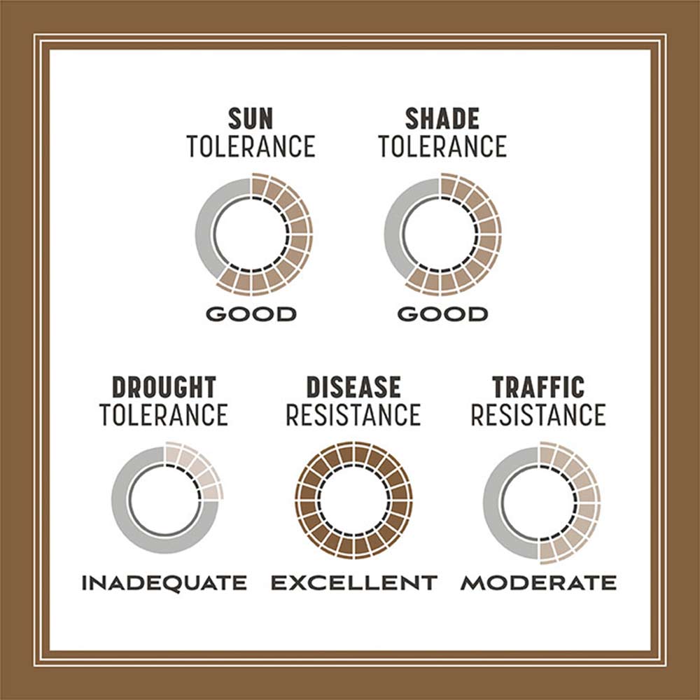 bare-spot-repair-tolerance