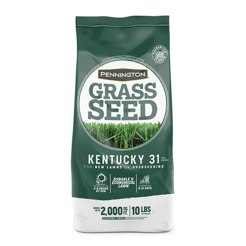 Pennington Kentucky Bluegrass Grass Seed Blend pennington-kentucky-bluegrass-grass-seed-blend