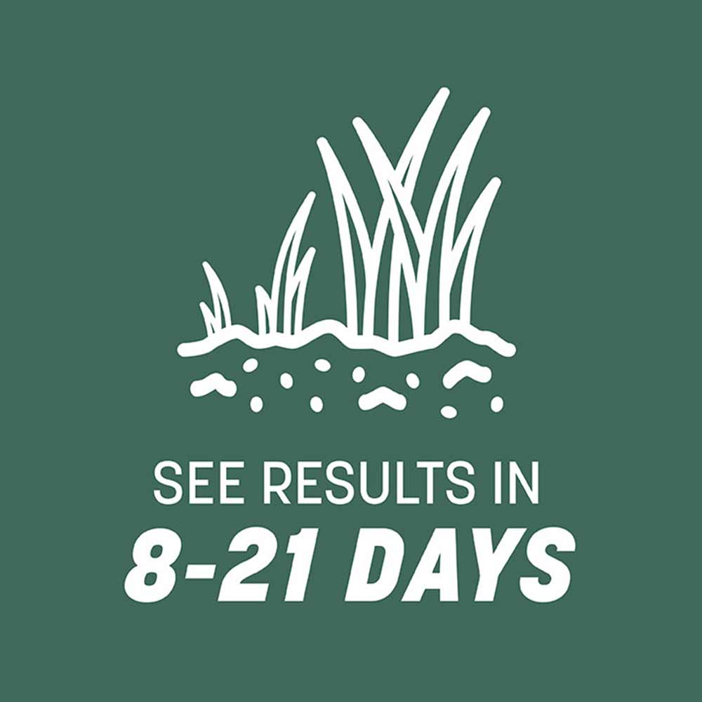 kentucky-31-tall-fescue-results