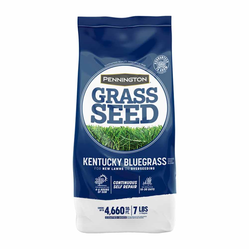 Kentucky-Bluegras-7lb-01