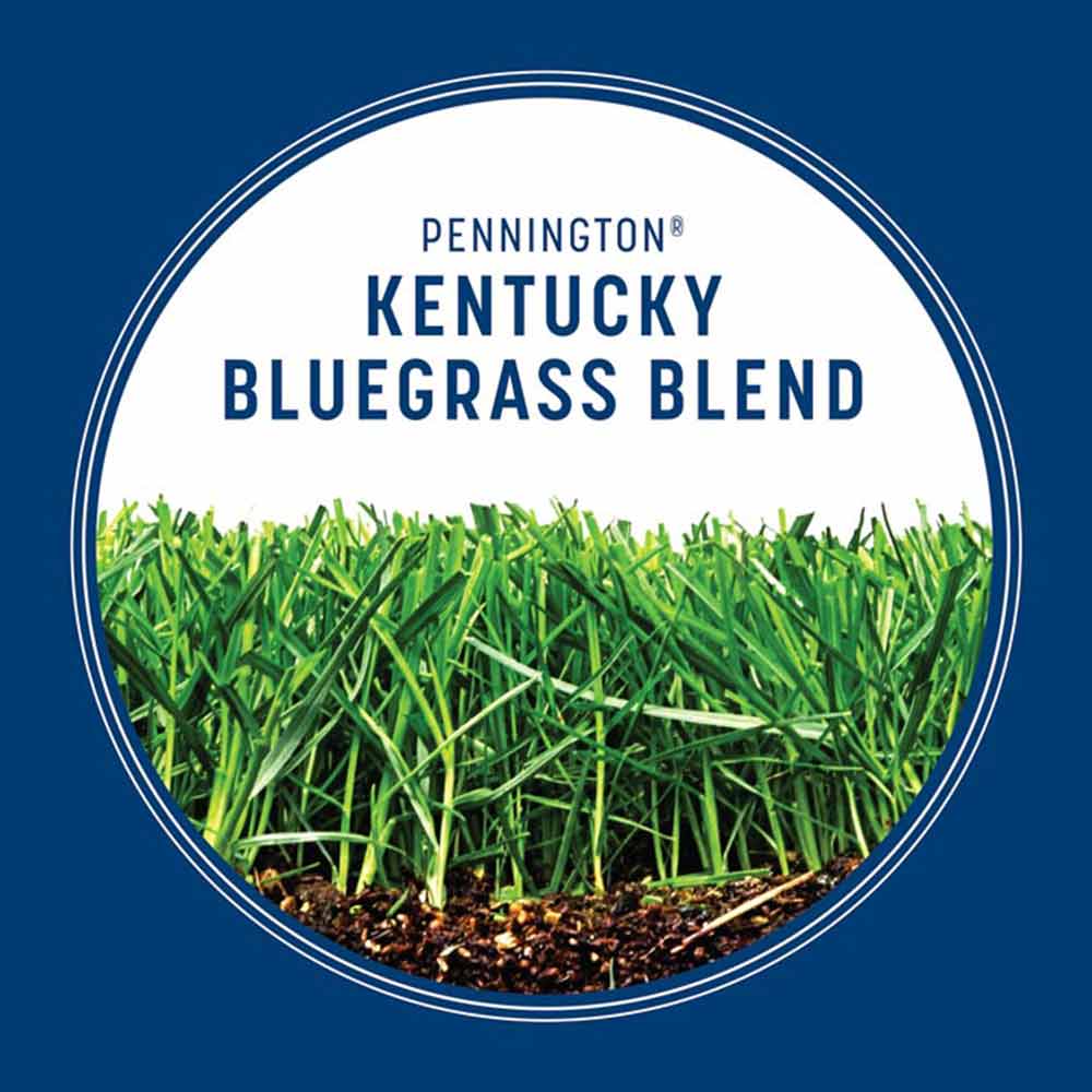Kentucky-Bluegrass-03