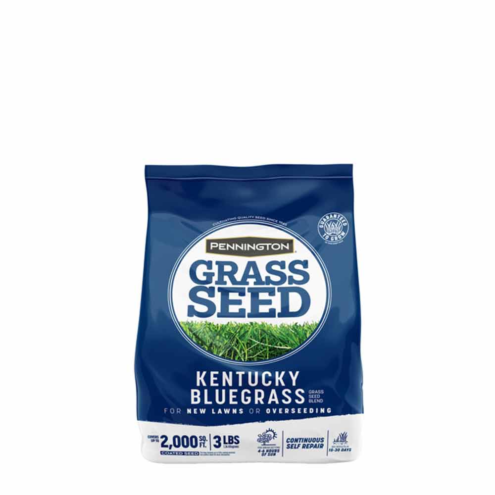Kentucky-Bluegrass-3lb-01