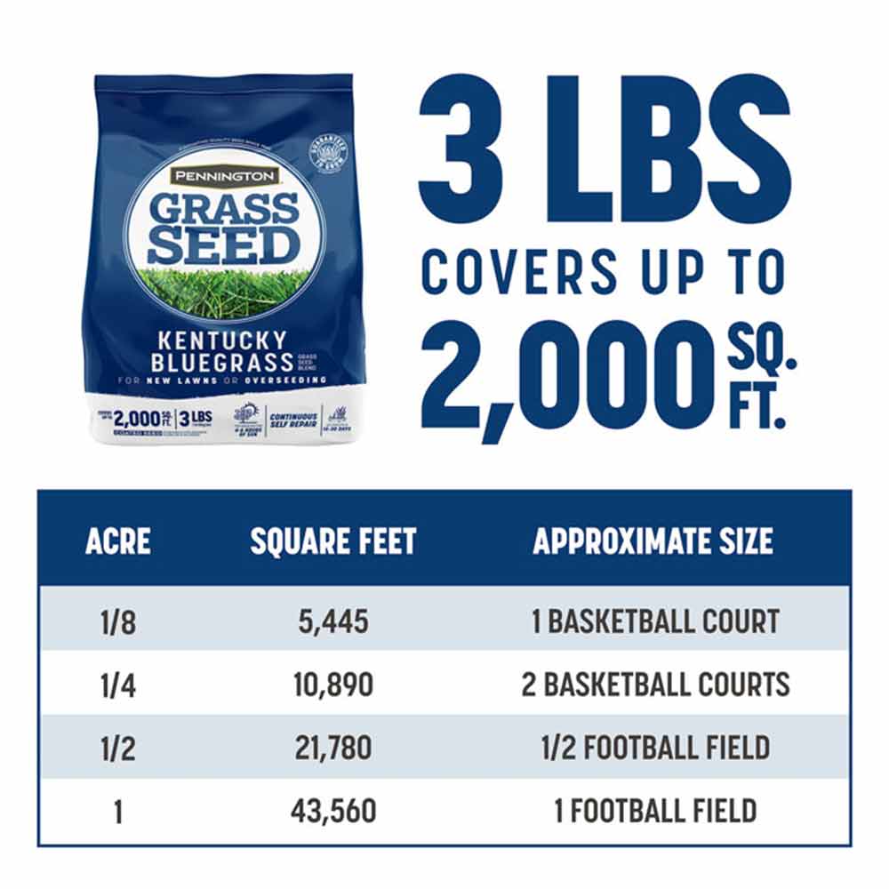 Kentucky-Bluegrass-3lb-09