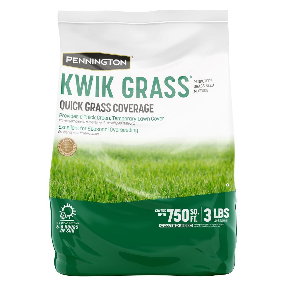 pennington kwik grass