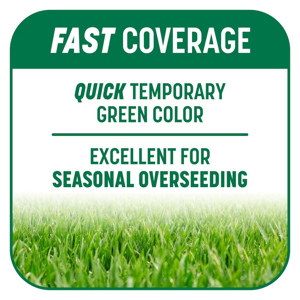 pennington kwik grass