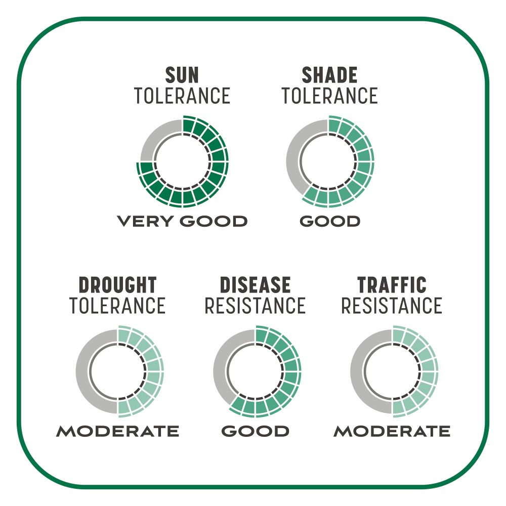 pennington kwik grass