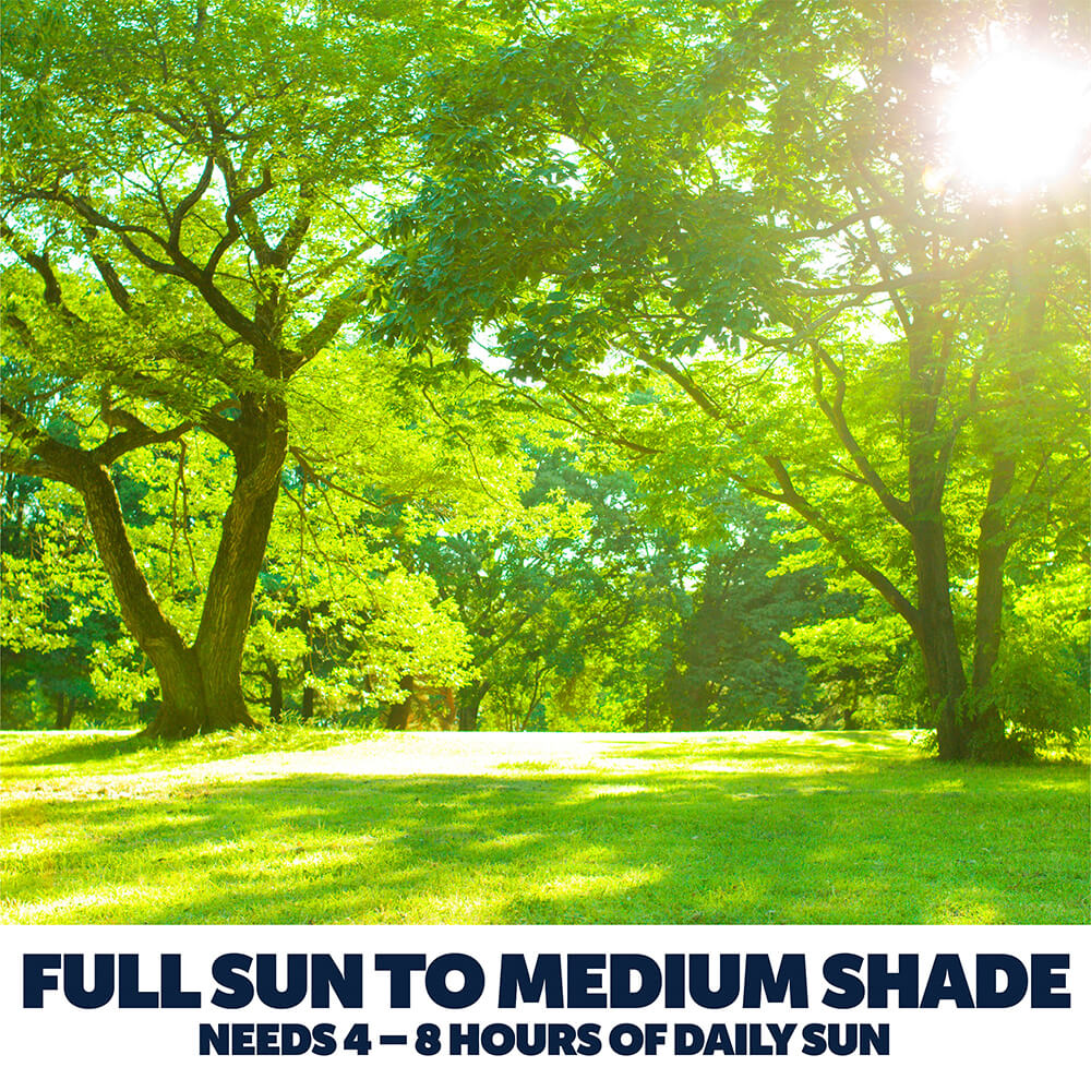 PE-Lawn-Booster-Sun-Shade_4