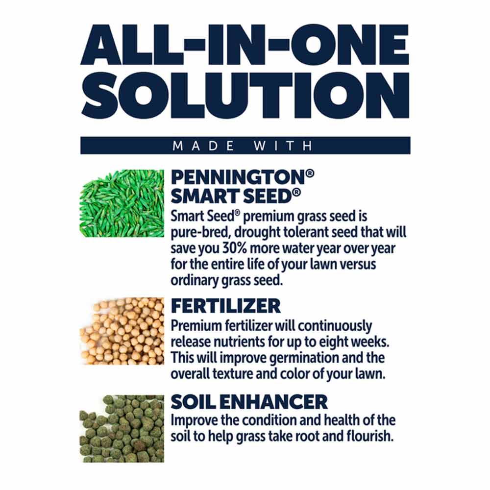 LawnBooster-Fescue-05